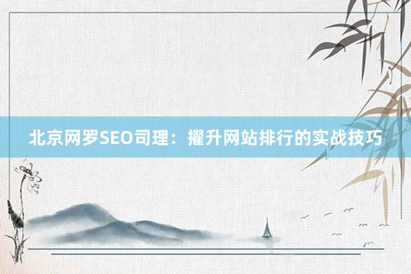北京网罗SEO司理：擢升网站排行的实战技巧