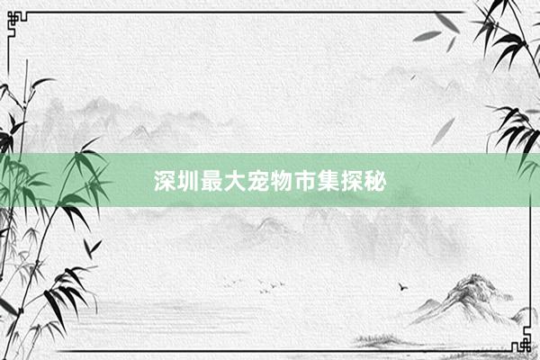 深圳最大宠物市集探秘